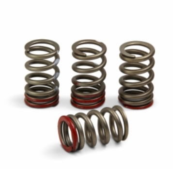 2022-2023 CRF250 Valve Spring Kit